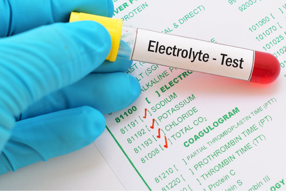 Los desequilibrios de electrolitos pueden ser graves en muchos animales.