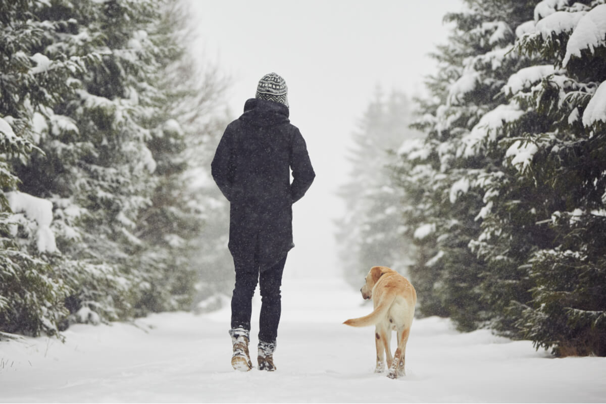 Pasar el invierno con tu perro puede ser muy entretenido.