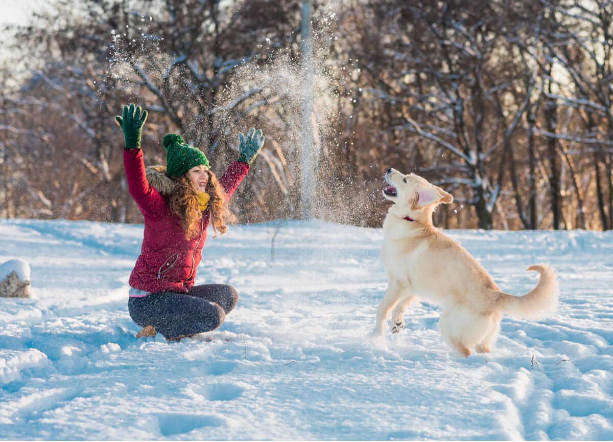 ¿Cómo pasear con un perro en la nieve?