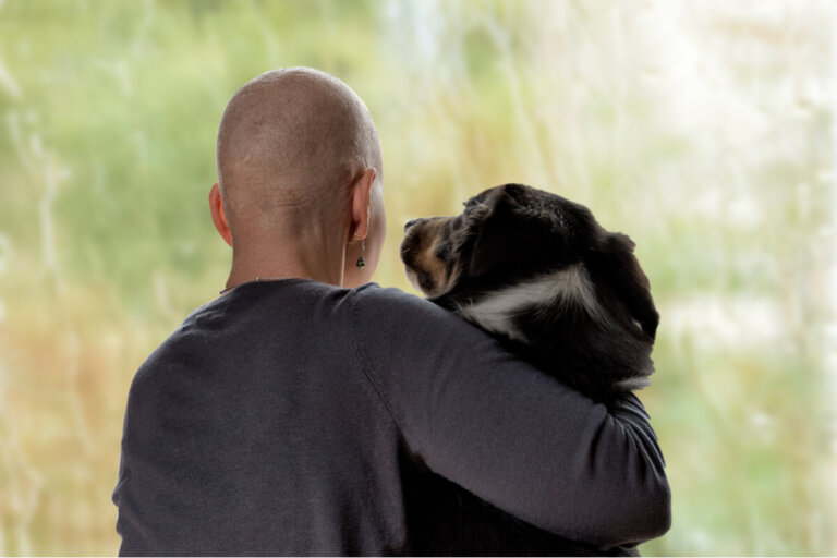 5 valores que puedes aprender de los animales