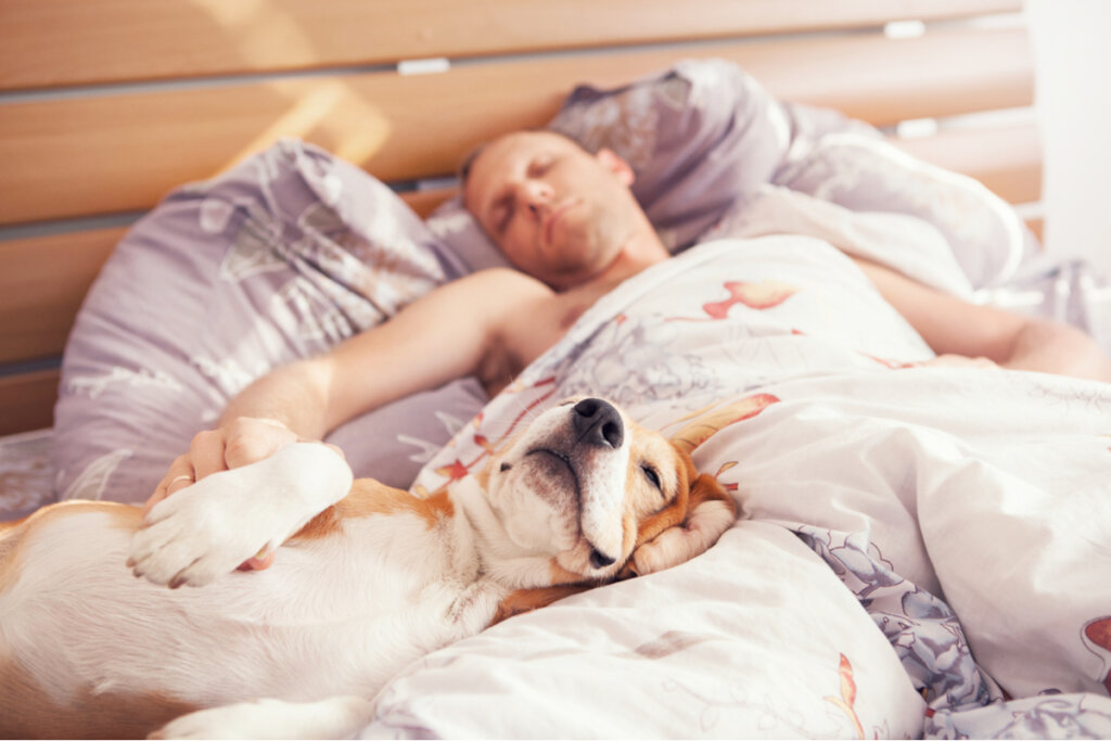 ¿Es saludable dormir con tu perro?