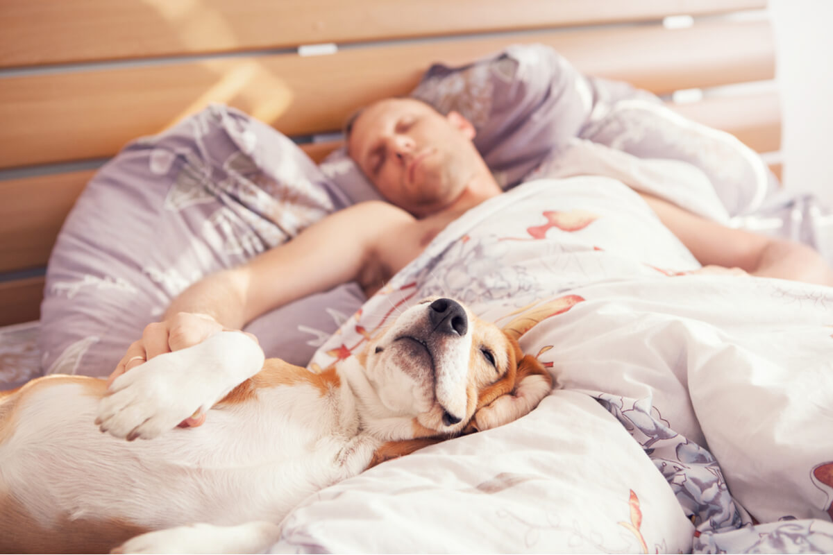 Una persona durmiendo con su perro.