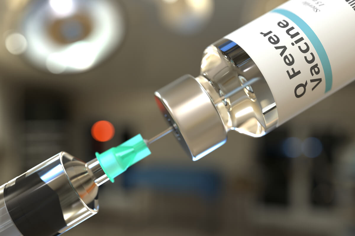 Impfplan für Welpen - ein Impfstoff wird in einer Spritze aufgezogen