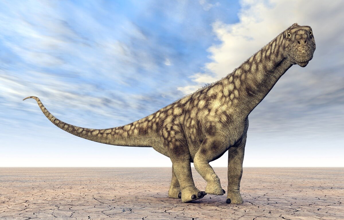 Imagenes Del Dinosaurio Mas Grande Que Existio