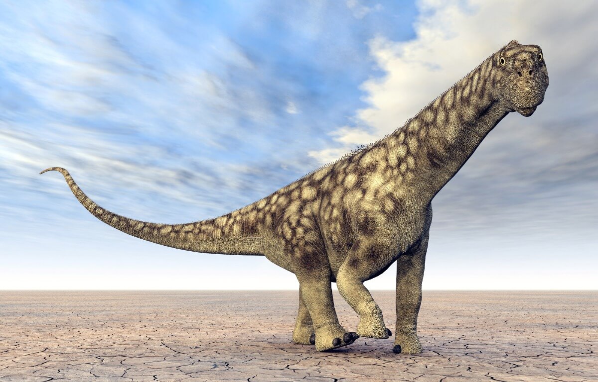Un ejemplar de Argentinosaurus.