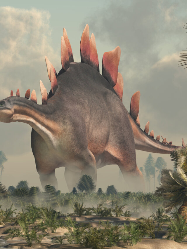 Estegosaurio: todo lo que debes saber - Mis Animales