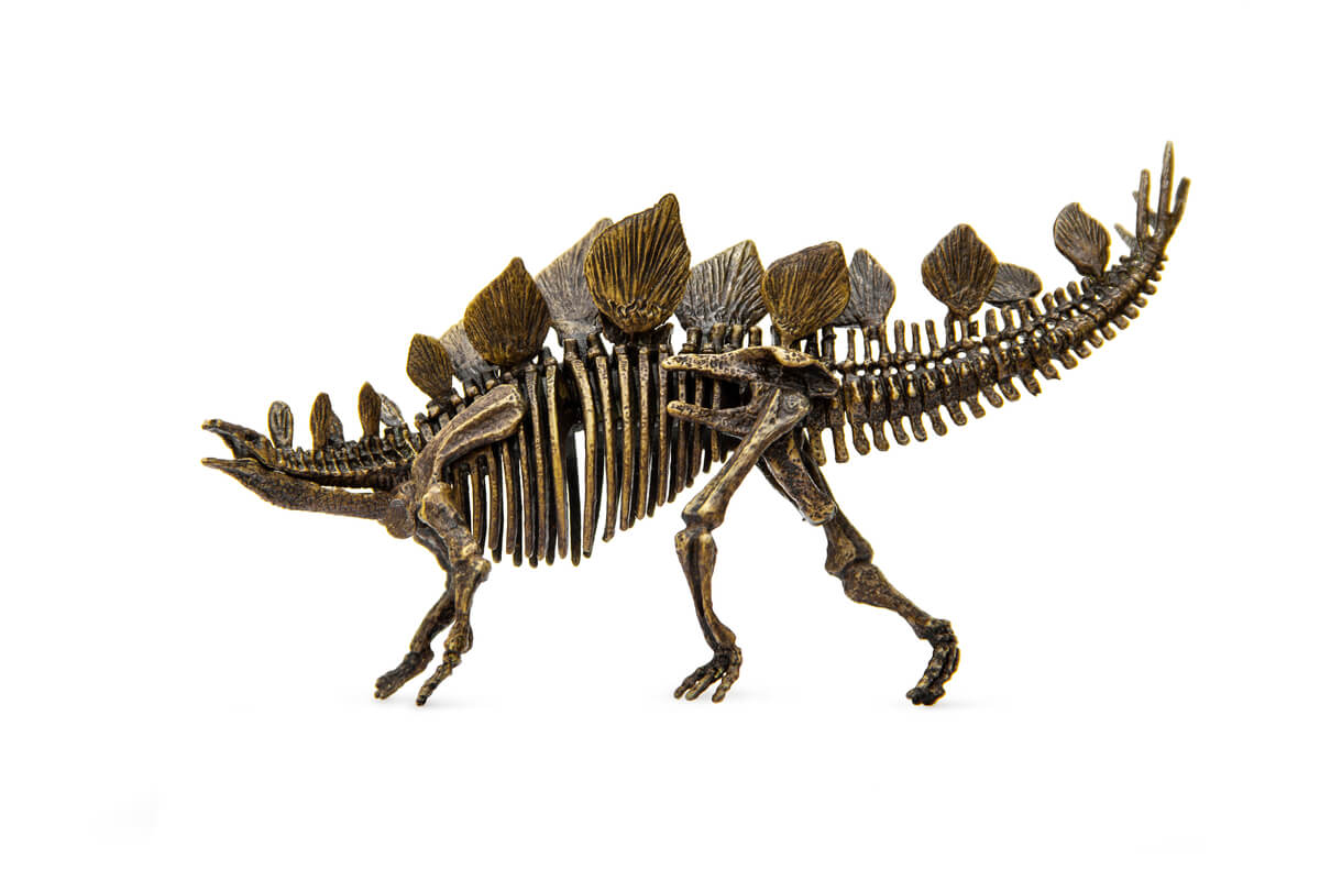 El esqueleto de un Estegosaurio.
