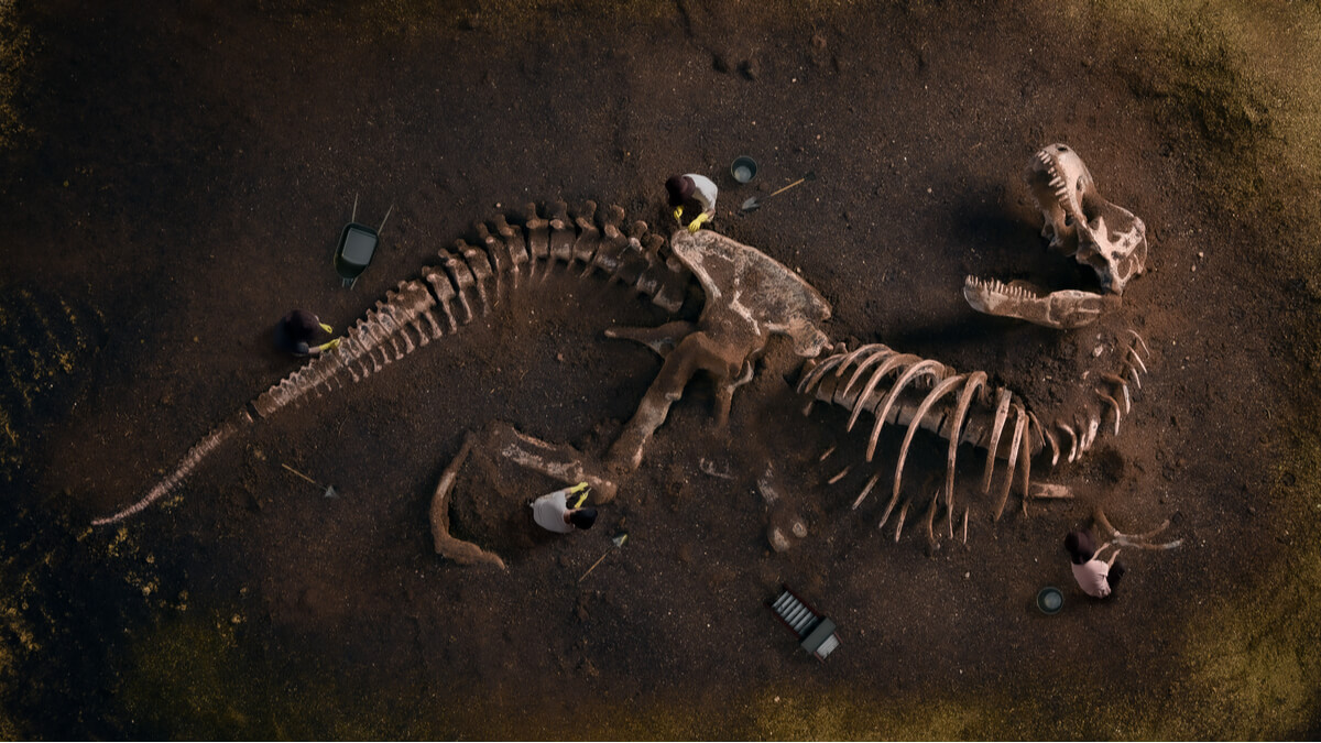 Ejemplo de los dinosaurios más antiguos.