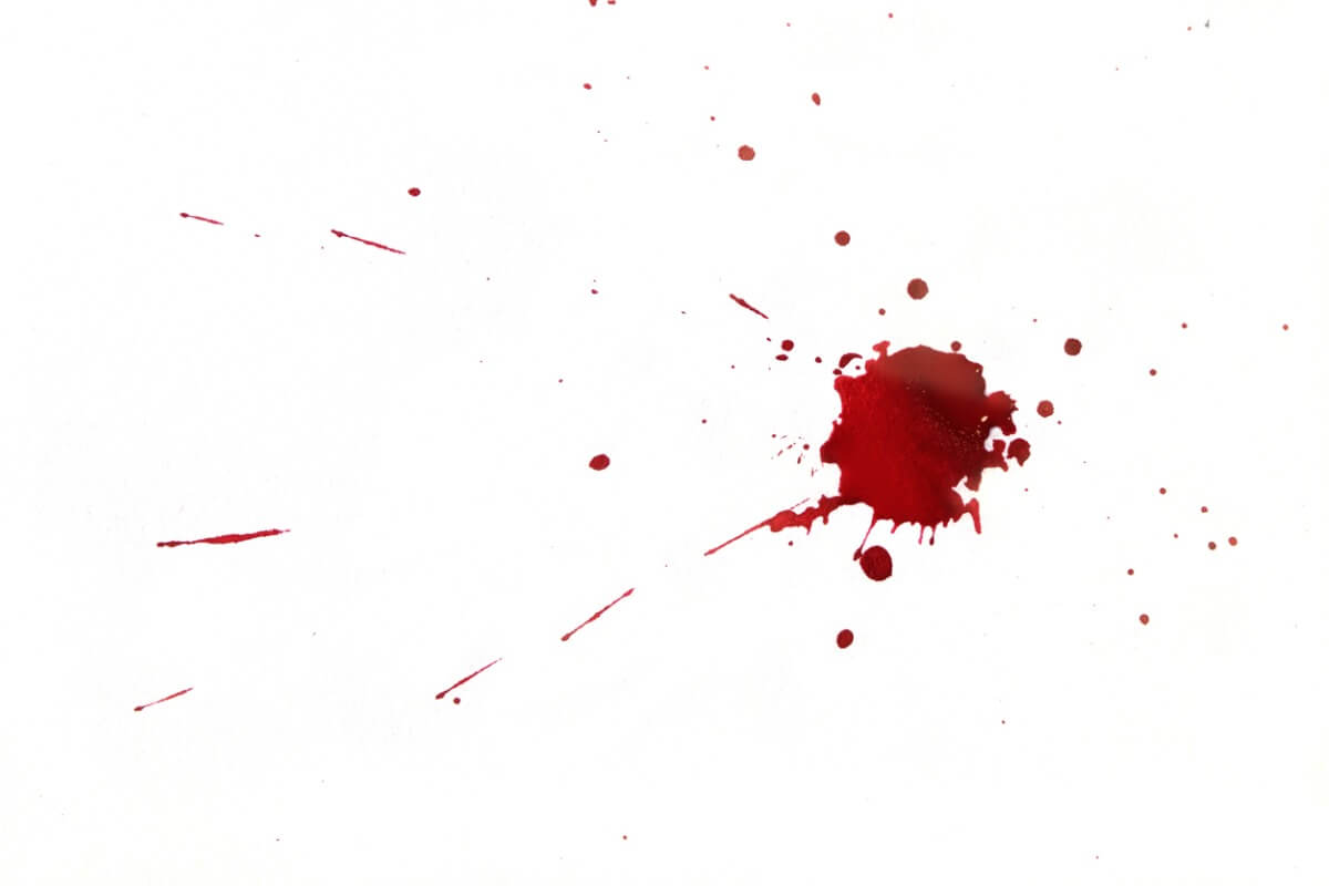Los animales vampiro se alimentan de sangre.