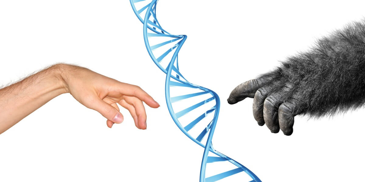 E se os Neandertais não estivessem extintos?