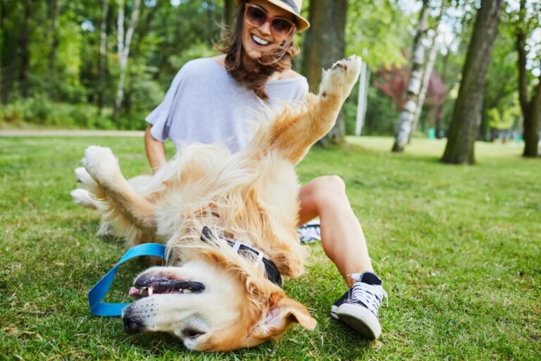 ¿Cómo ser el mejor amigo de mi perro?