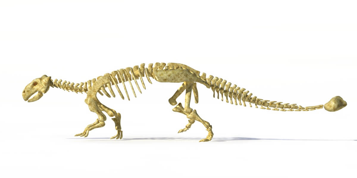 6 europäische Dinosaurier