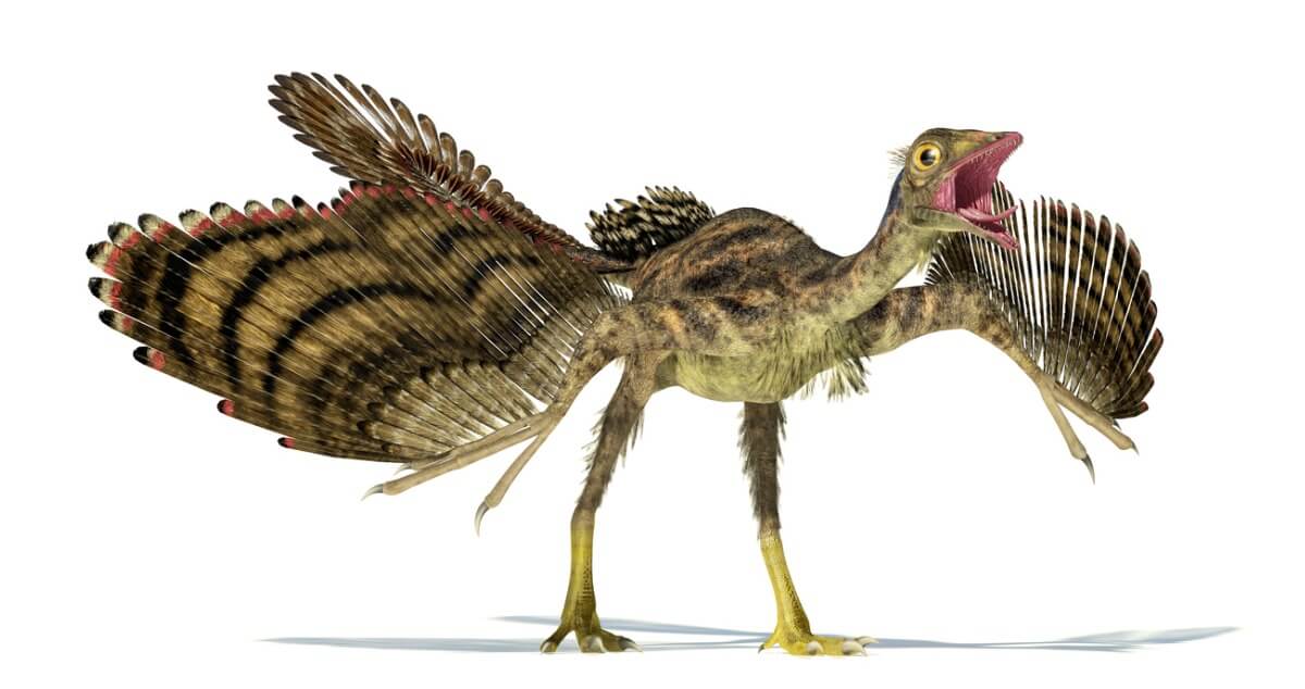 6 europäische Dinosaurier
