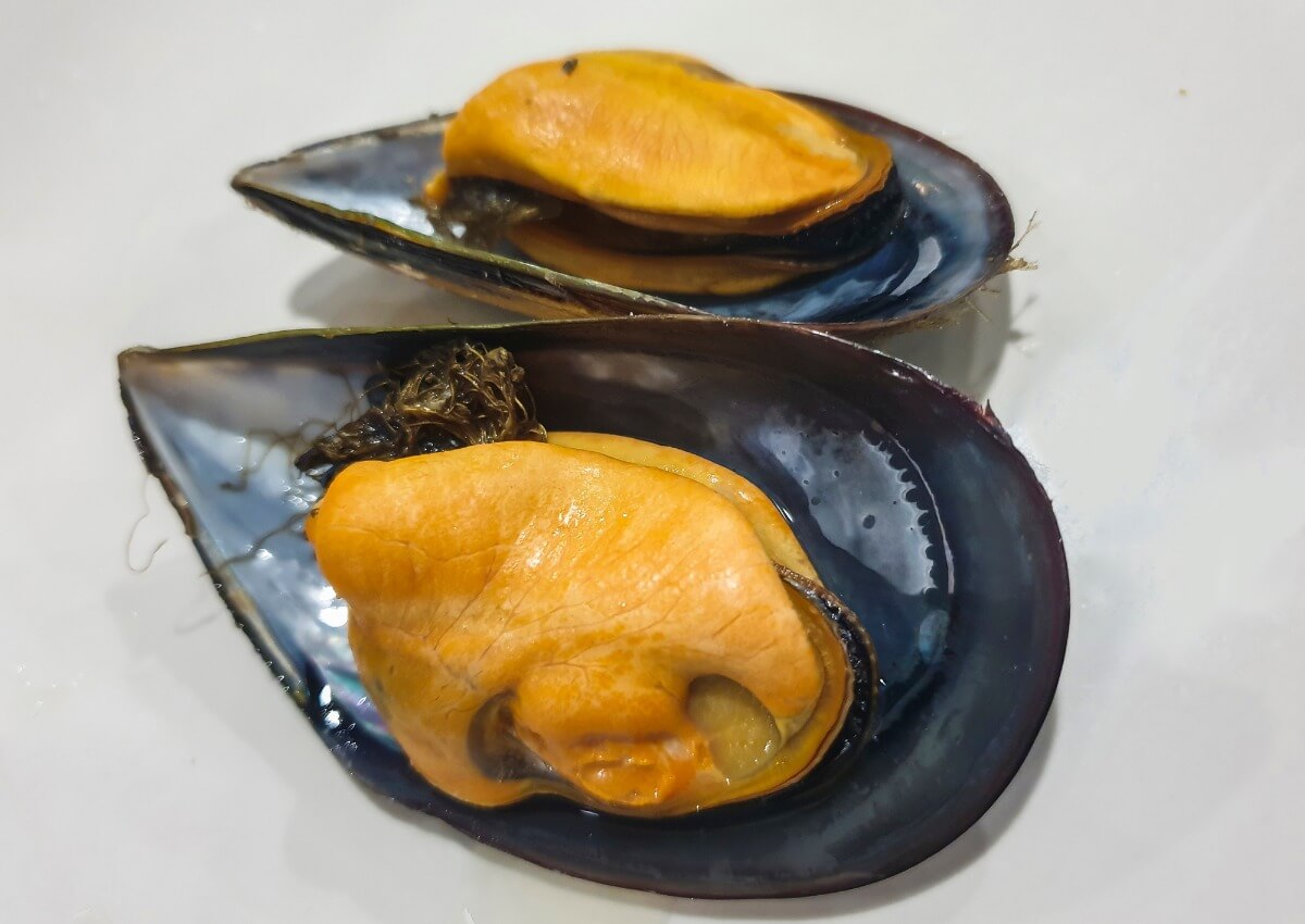 Unos mejillones cocinados.
