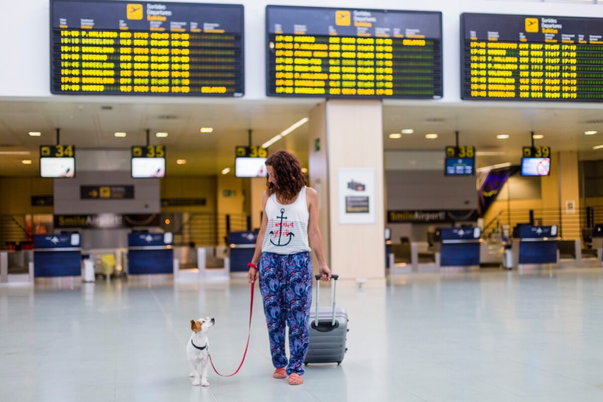 Existen razas de perros que no pueden viajar en avión.