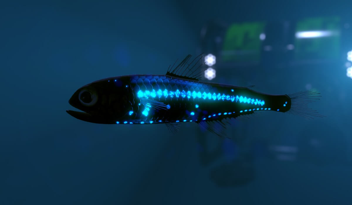 Un pez abisal bioluminiscente.