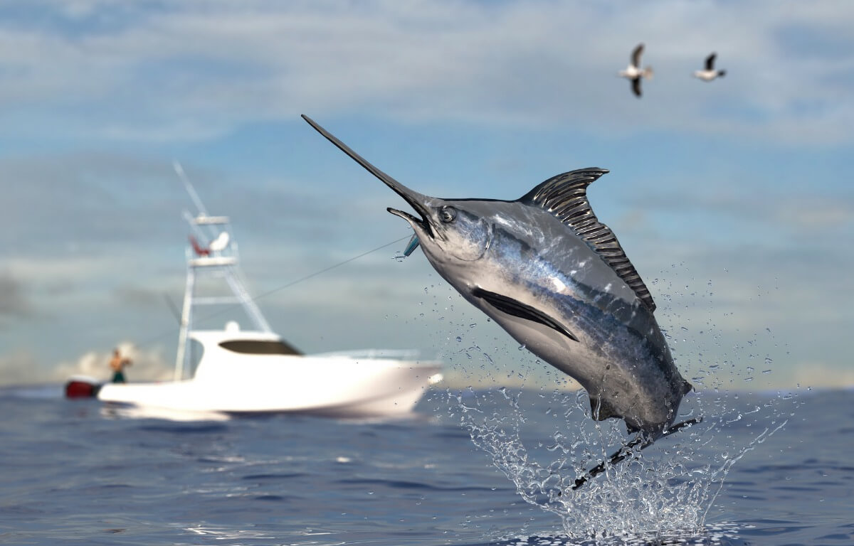 Uno de los peces más rápidos del mundo.