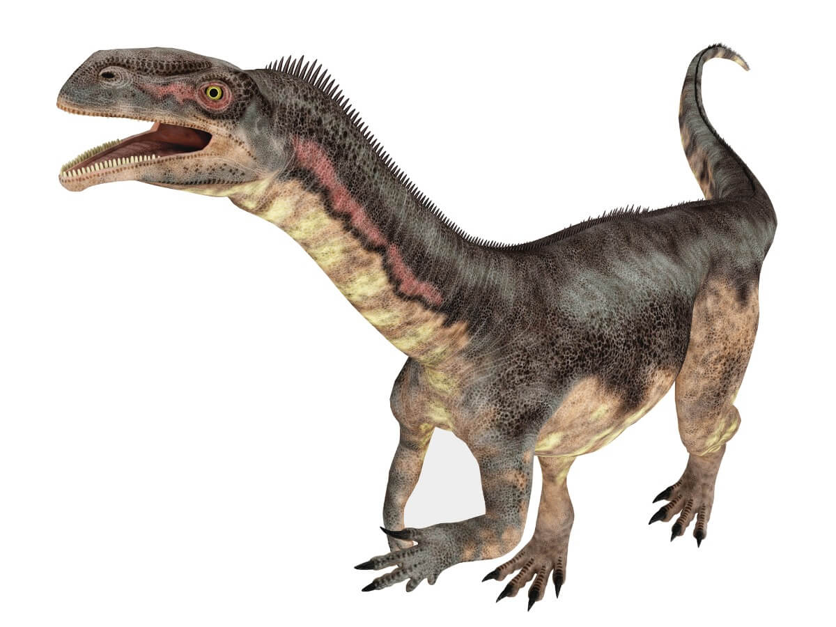 El plateosaurus es uno de los animales de Europa.