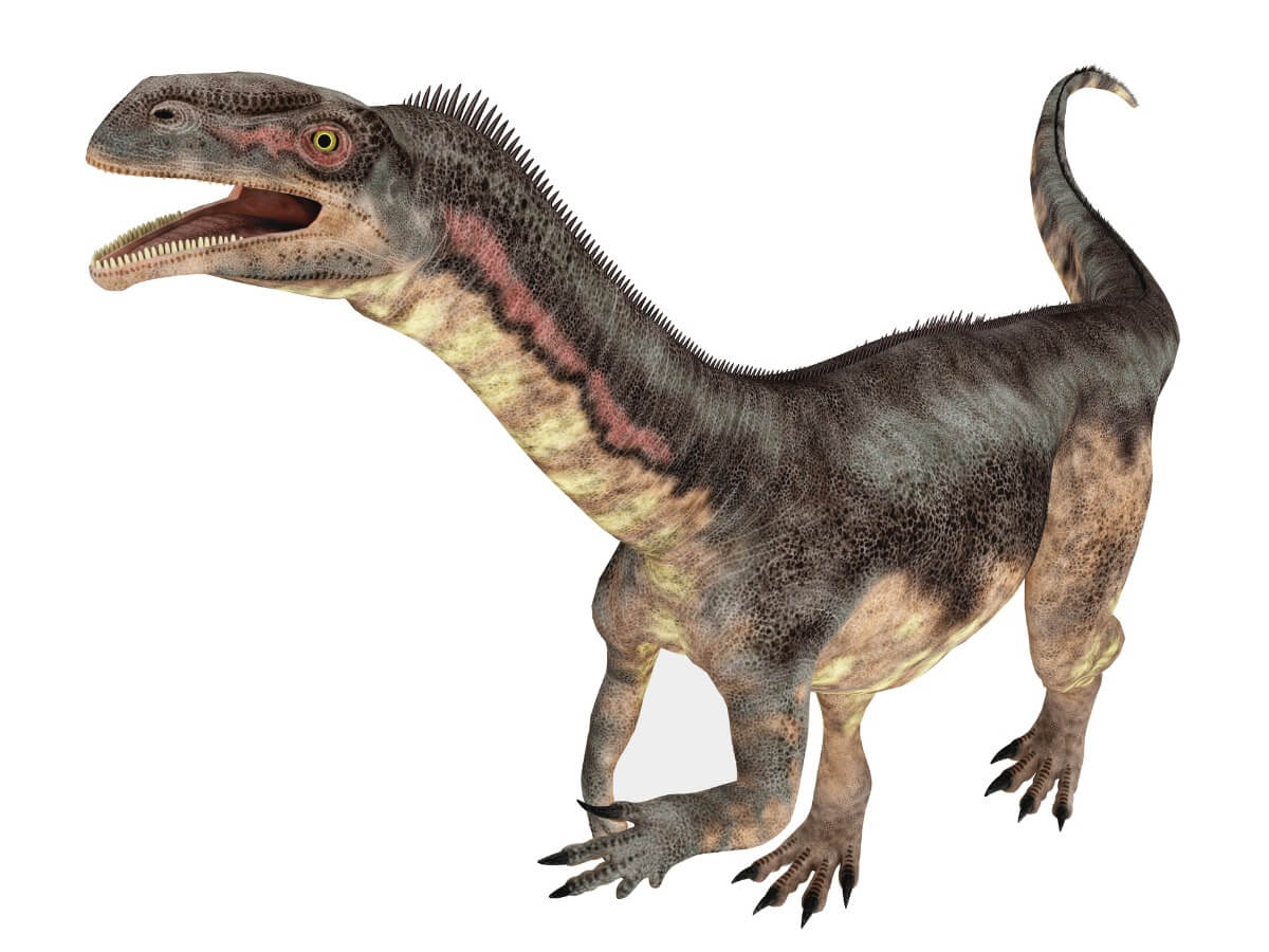 6 europäische Dinosaurier