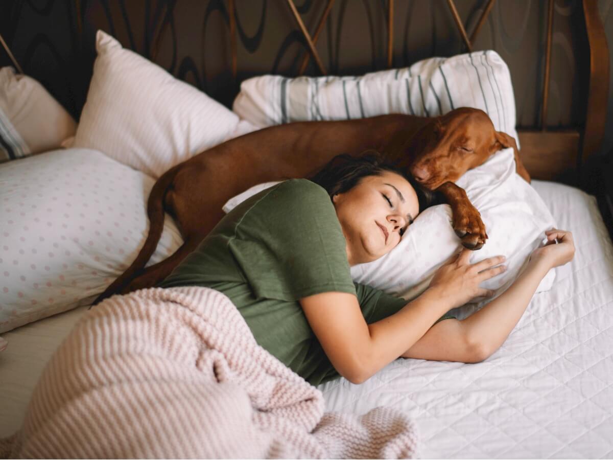 Un perro duerme con su tutora.