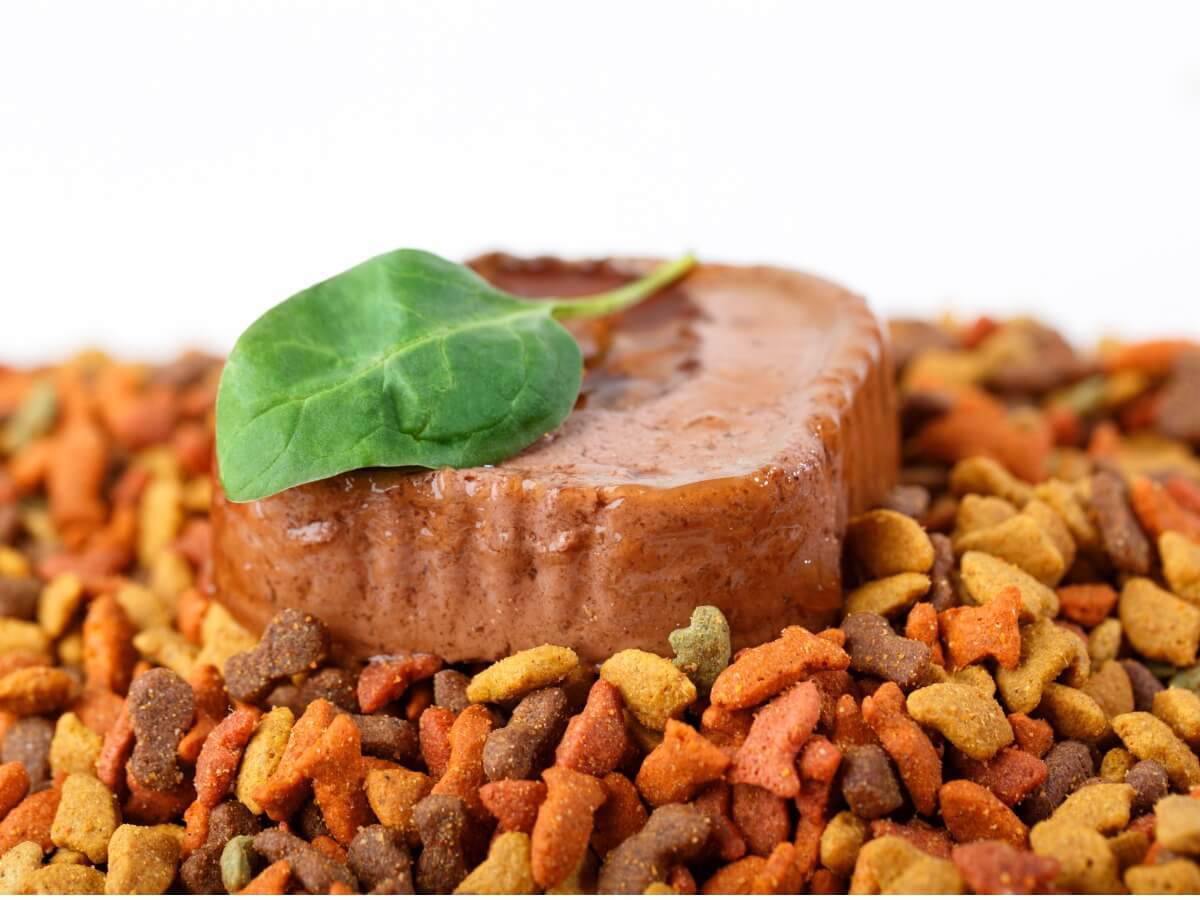 A dry food and a wet food on a white background.