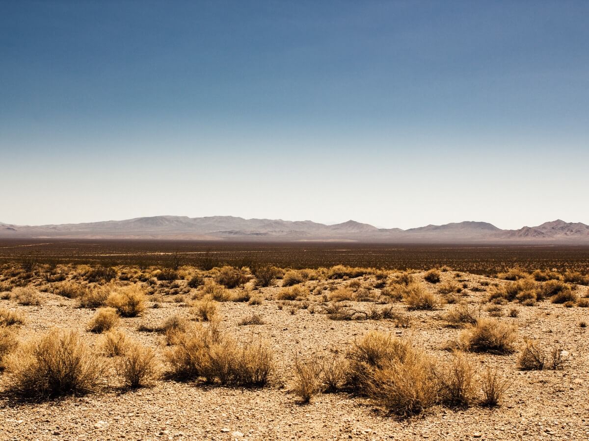 A desert.