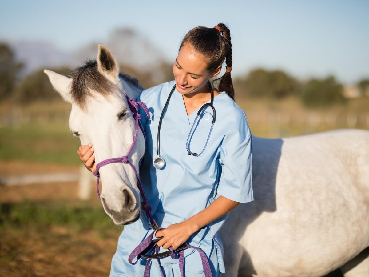 En veterinär kramar en häst.
