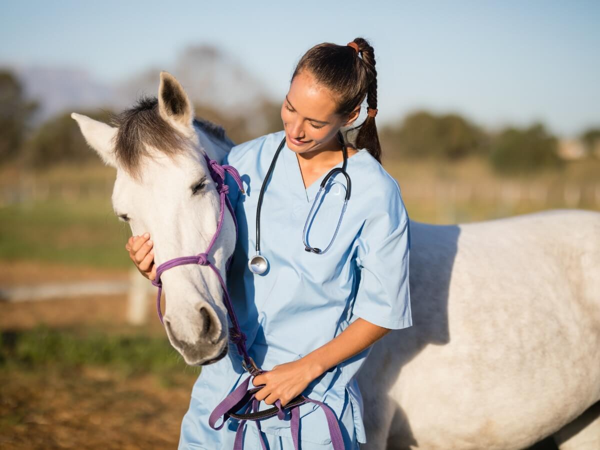 Una mujer abraza a un caballo con influenza equina.