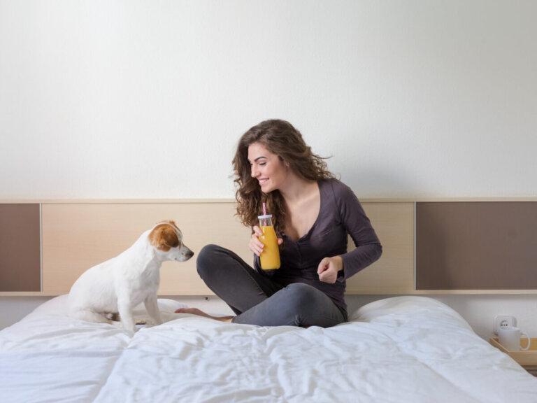 ¿Los perros pueden comer papaya?