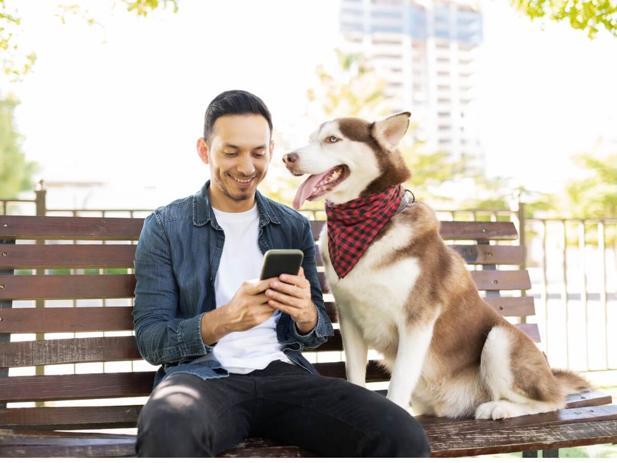 Uno de los tipos de Husky.