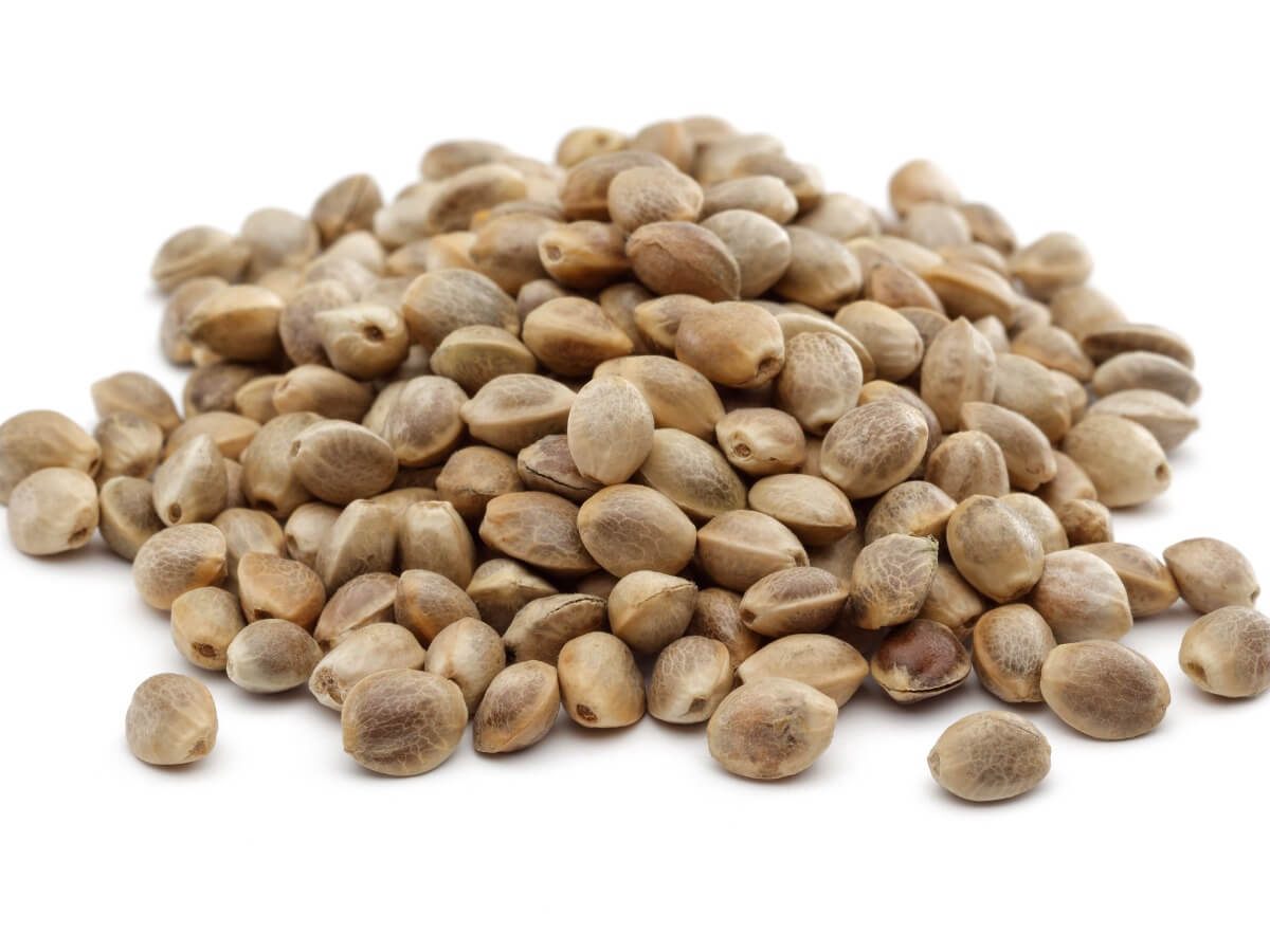 I semi di canapa sono buoni per gli animali domestici?