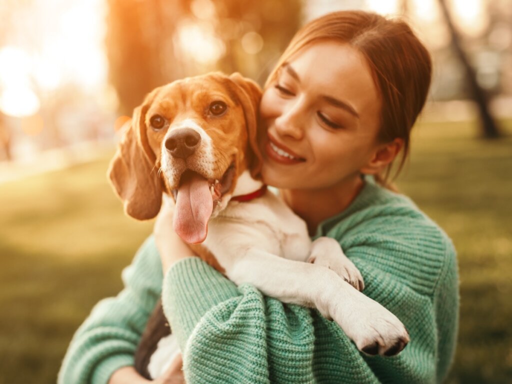 Enfermedades comunes de los perros beagle