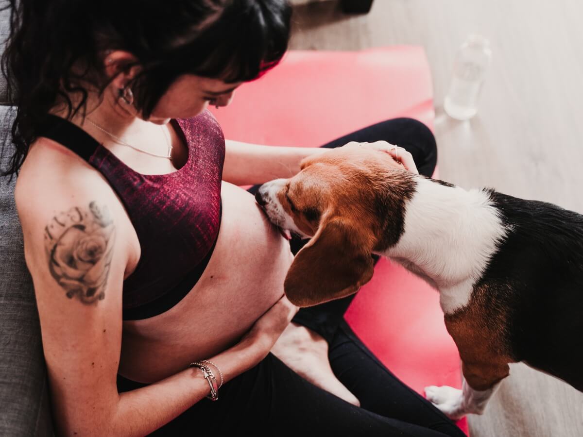 Una mujer embarazada con un perro.