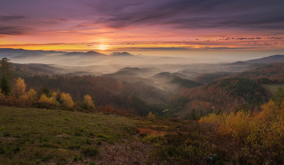 Una puesta del Sol en la Selva negra.