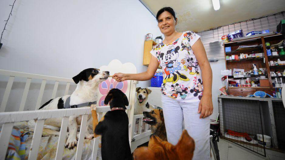 Engagierte Frau in Peru kümmert sich um behinderte Hunde