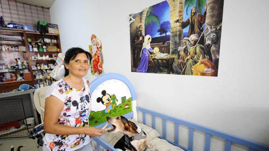 Shelter for disabled dogs.