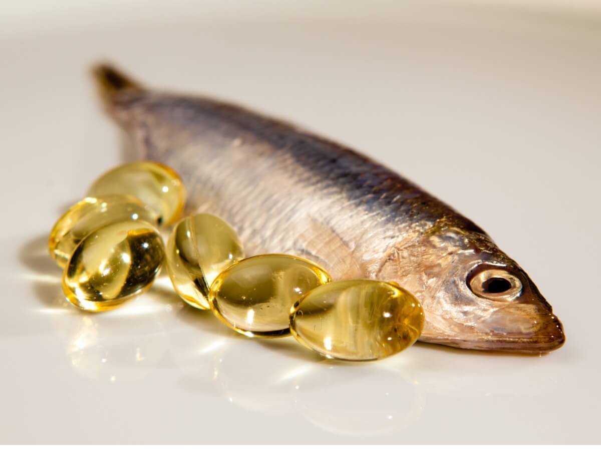 Fisch und Kapseln mit Fischöl für Katzen