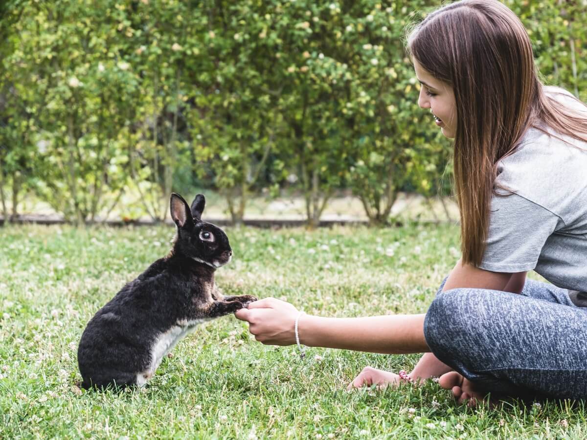 A girl educating a rabbit.