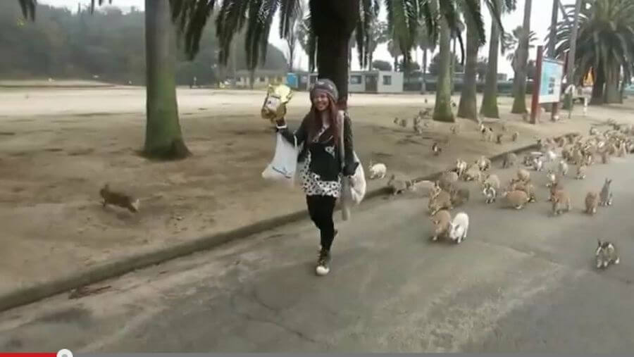 Miles de conejos siguen a una joven con comida