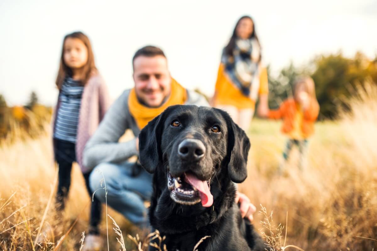 En hund njuter med sin familj.