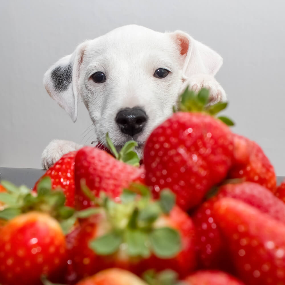 Des fraises.