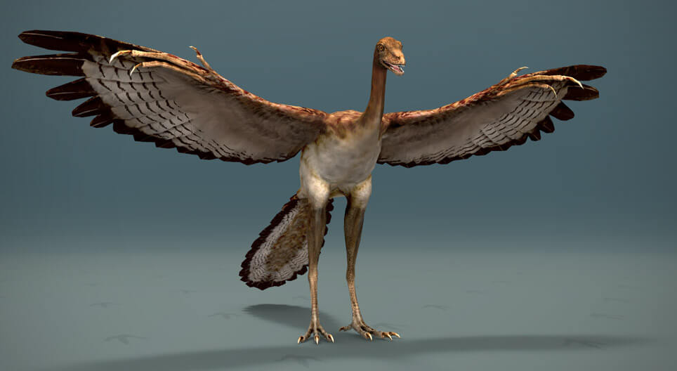 The archaeopteryx.
