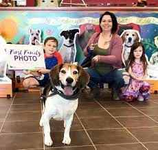 Niño adopta a perro Beagle.
