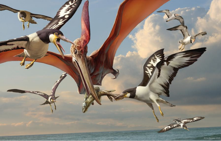 10 tipos de dinosaurios voladores