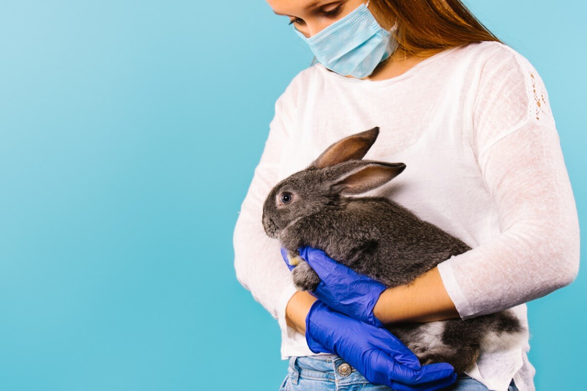 12 Anzeichen, dass dein Kaninchen krank ist.