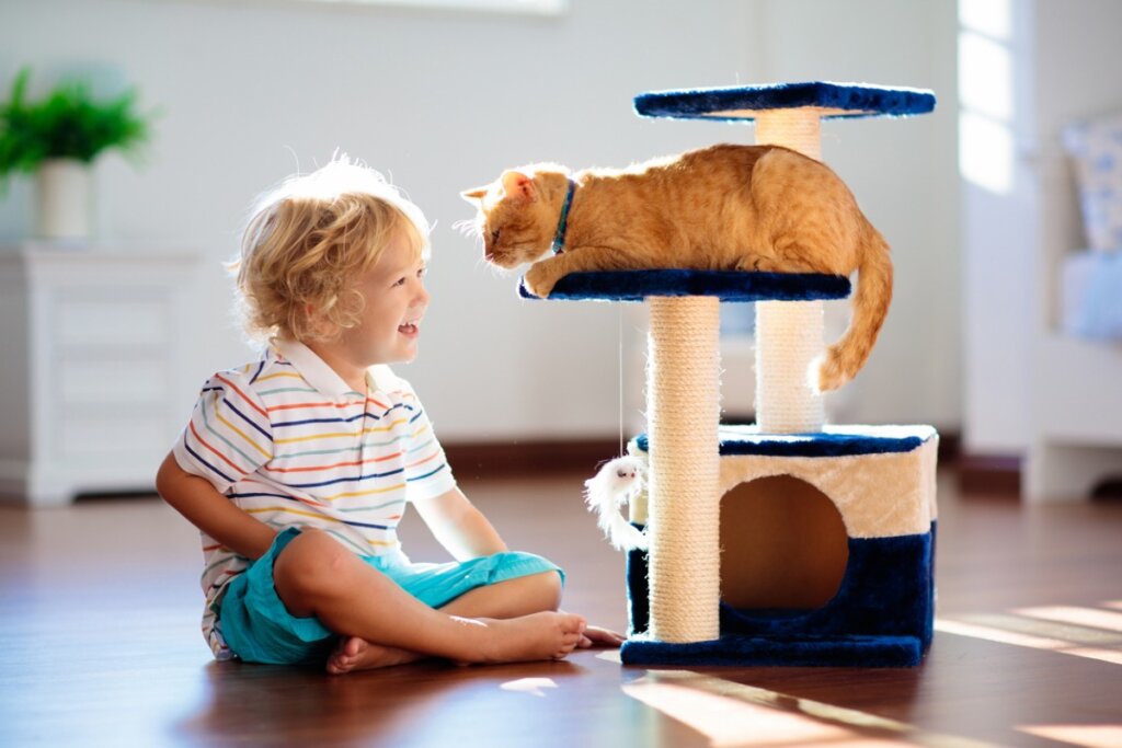 Un ejemplo de gimnasio para gatos.