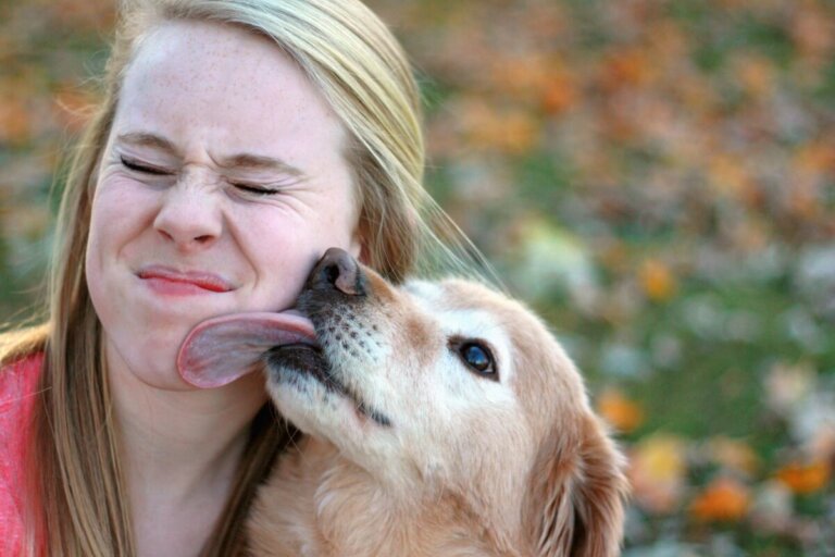 ¿Cómo saludan los perros?