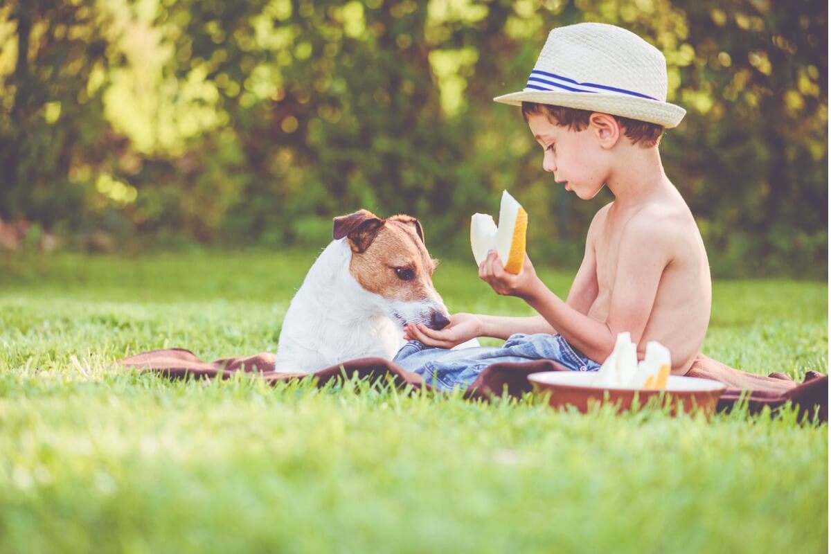 Bir köpek bir çocukla kavun yiyor.