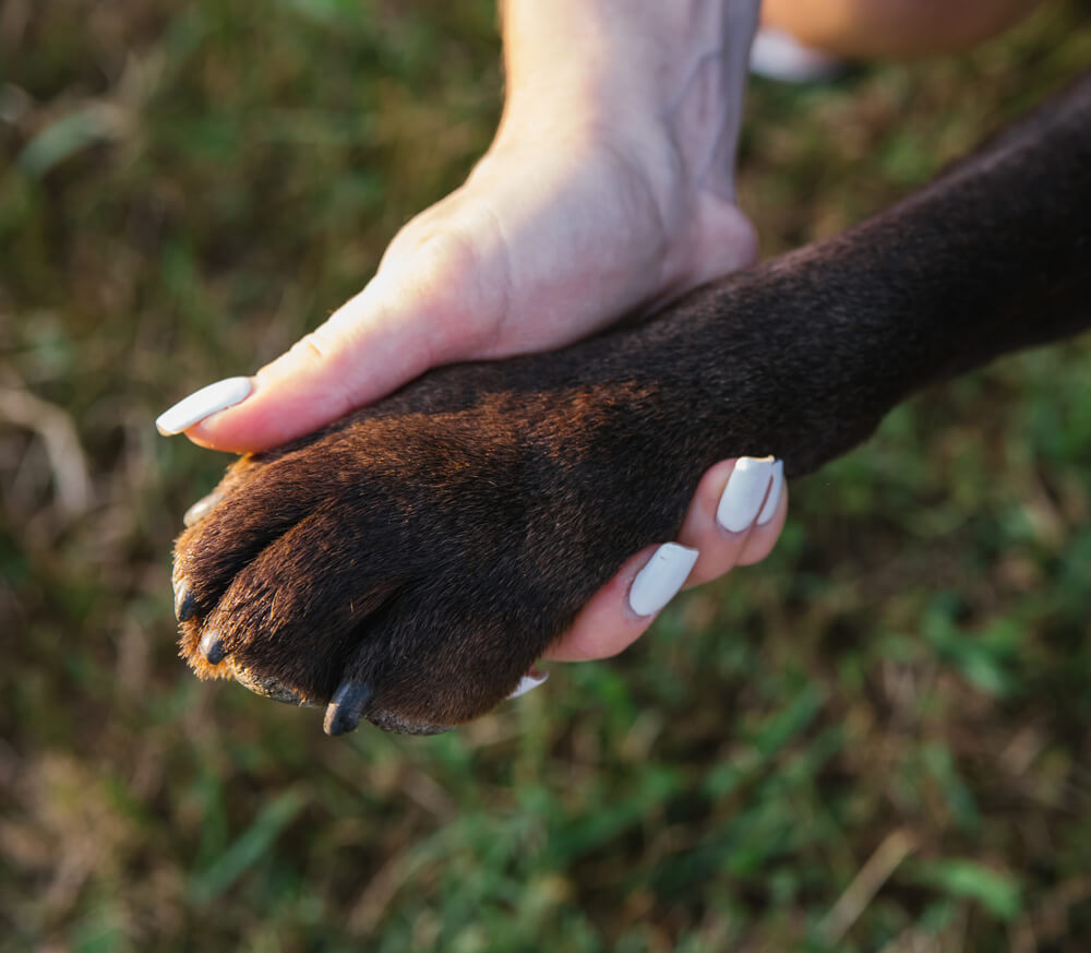 Mujer y perro cogidos de la mano.