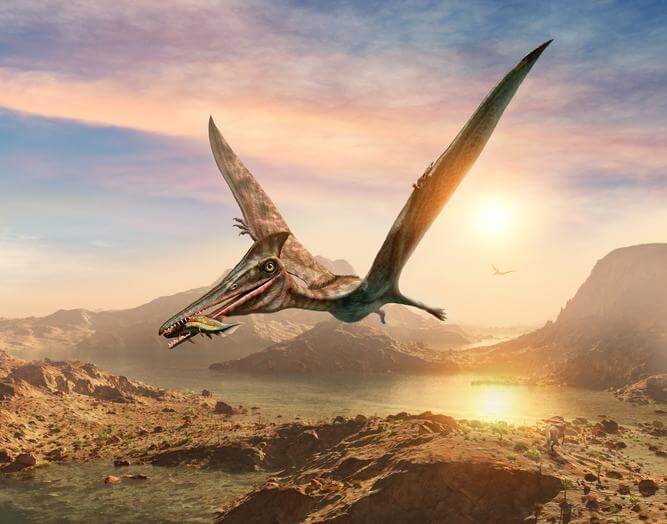 10 Types Of Flying Dinosaurs 10-types-of-flying-dinosaurs